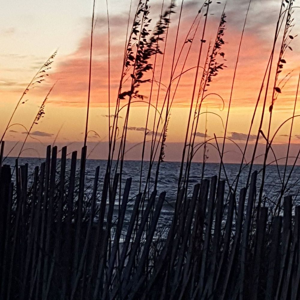 Meet your Posher, Connie